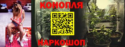 стафф Краснознаменск